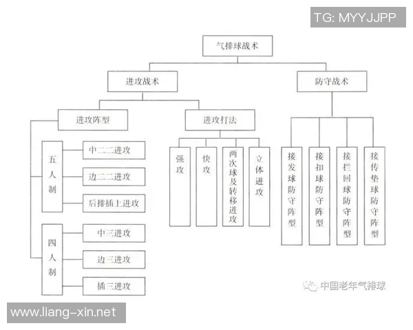 深圳排球队的转换体系与排球战术创新探索分析